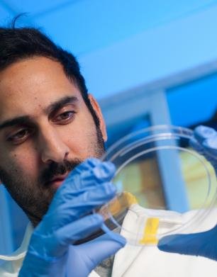 Faizal Karim in the lab, wearing gloves and examining a sample dish